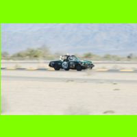 699 - LeMons Chuckwalla 2012.jpg